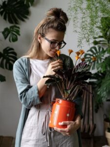 5 kućnih biljaka koje pročišćavaju vazduh