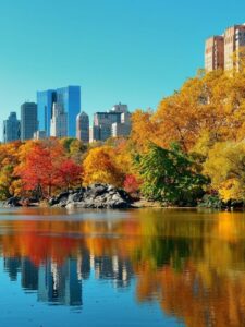 Jesen u Njujorku: Najlepše fotografije “Velike jabuke” zbog kojih želimo da smo tamo ovog trenutka