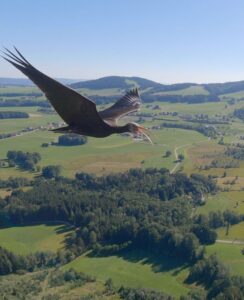 Počinje nova sezona serijala EVROPA ODOZGO na kanalu NATIONAL GEOGRAPHIC