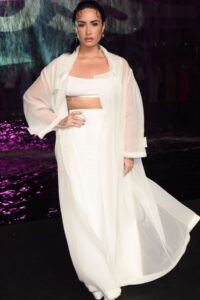 demi lovato se udala