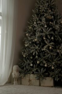 Saveti za praznično dekorisanje kuće